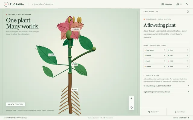 Floraria, a Continuous Botanical Scene from Museum Scans to Cells